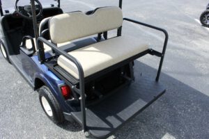 2021 E-Z-GO RXV CPO