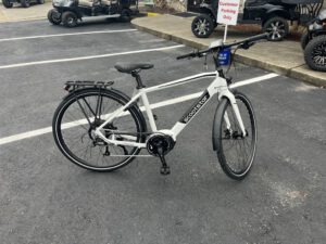 2022 ScootStar Citystar