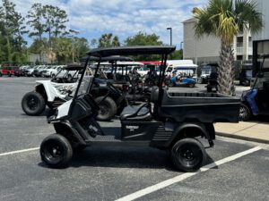 2025 Cushman Hauler 1200X