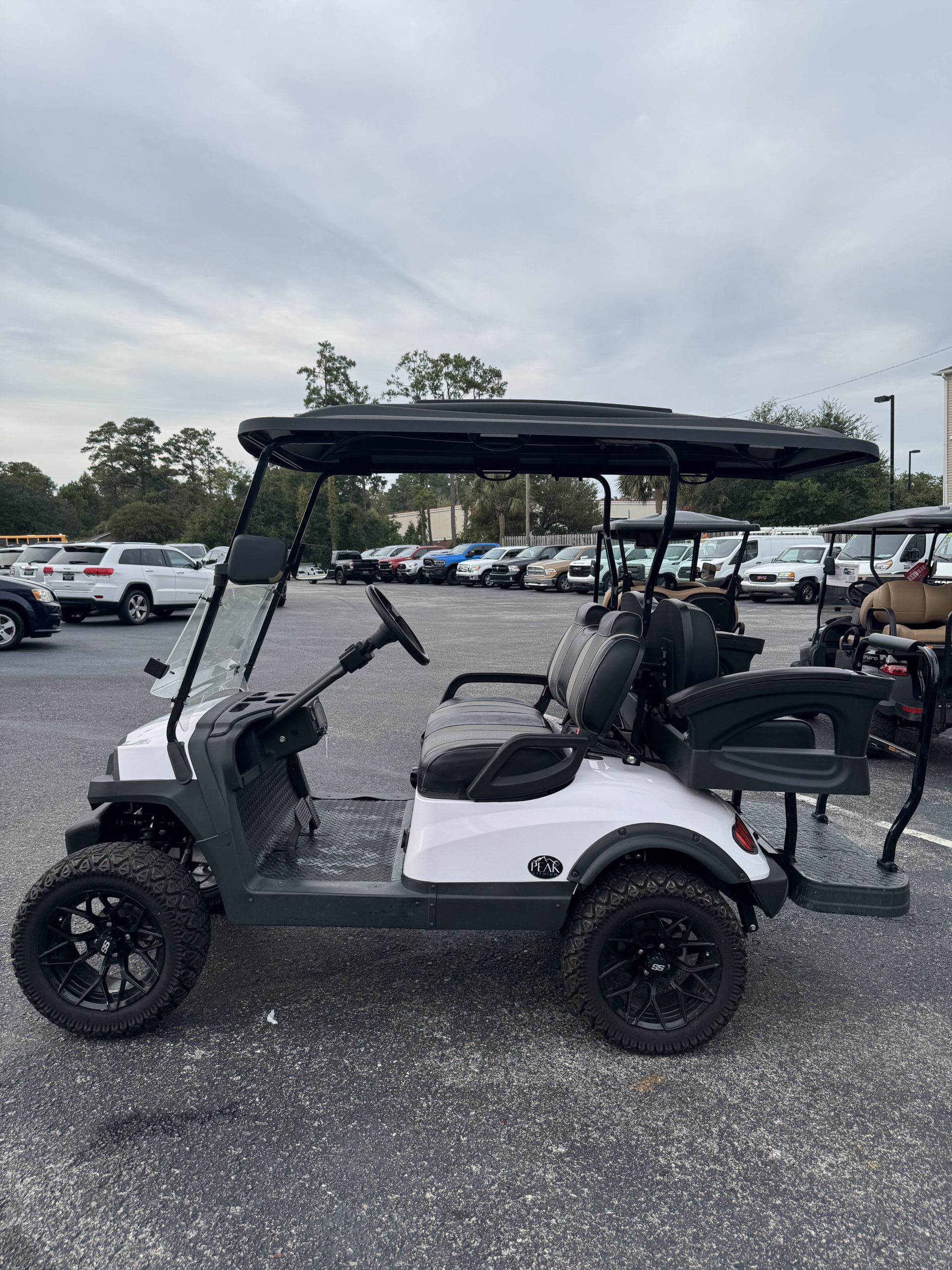 2022 Vivid EV Peak 4L