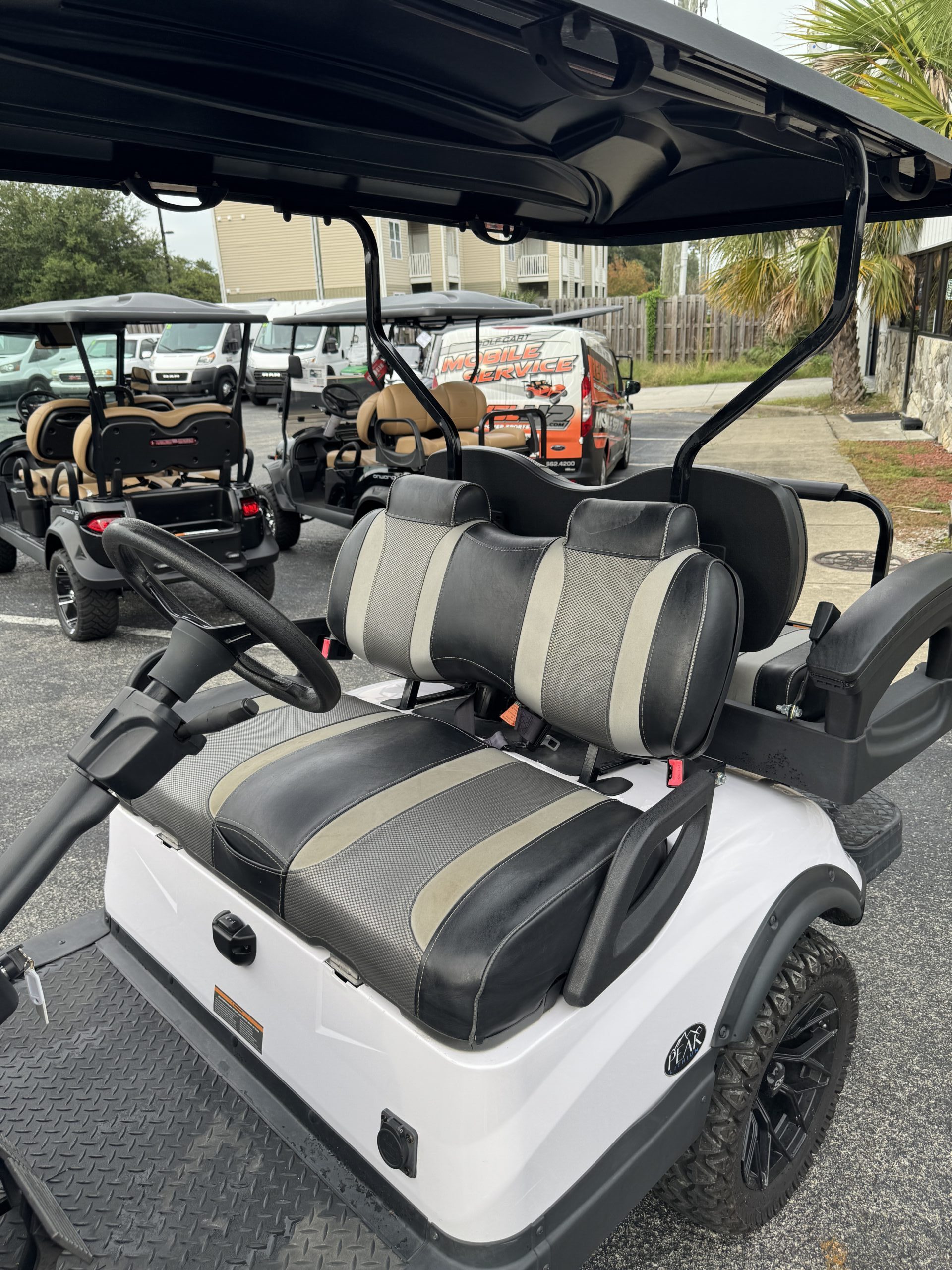 2022 Vivid EV Peak 4L